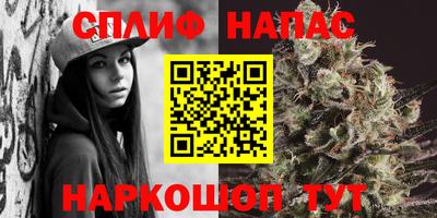 дживик Сланцы