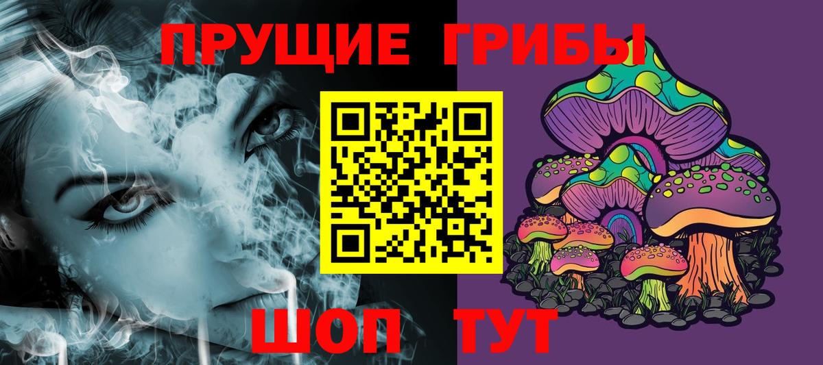 Можайск  Галлюциногенные грибы прущие грибы  Вход с VPN 